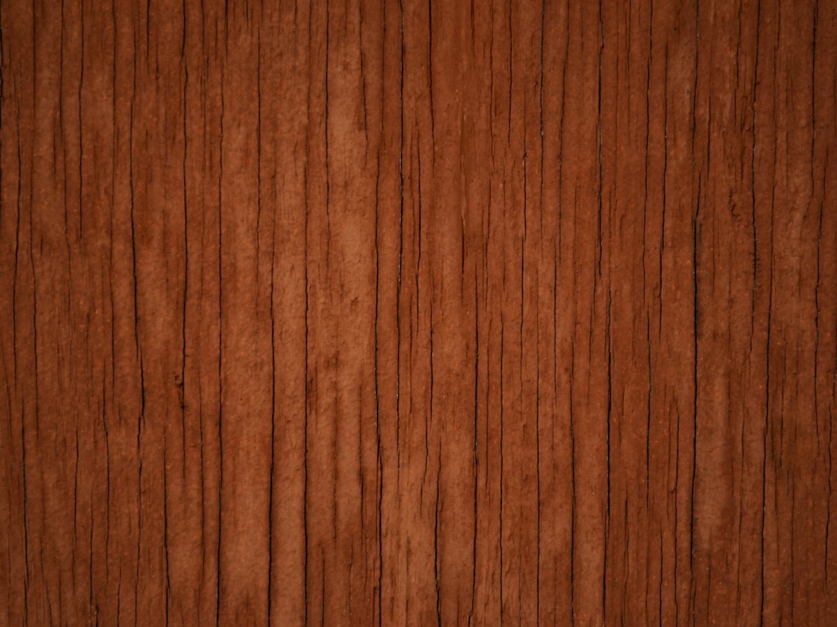 Close-up of dark walnut grain